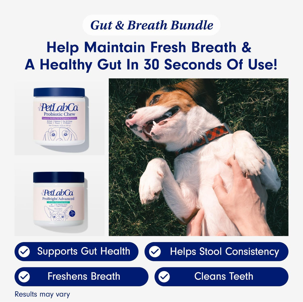 Gut & Breath Bundle: Dental Powder for Fresh Breath, Salmon Dog Probiotics F7126