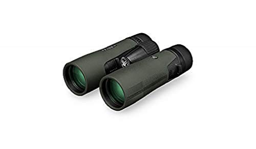 10x42 Roof Prism Binoculars S45701