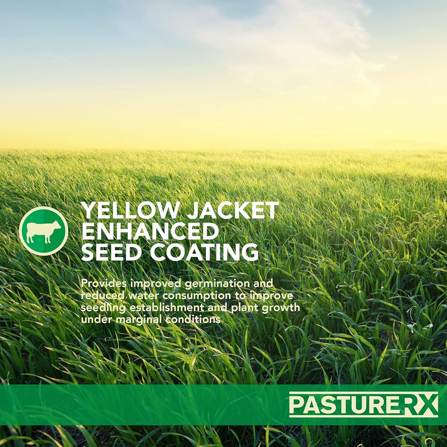 23 lbs. Grass and Forage Seed Mix A7231