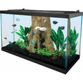29 Gallon Glass Aquarium R6474