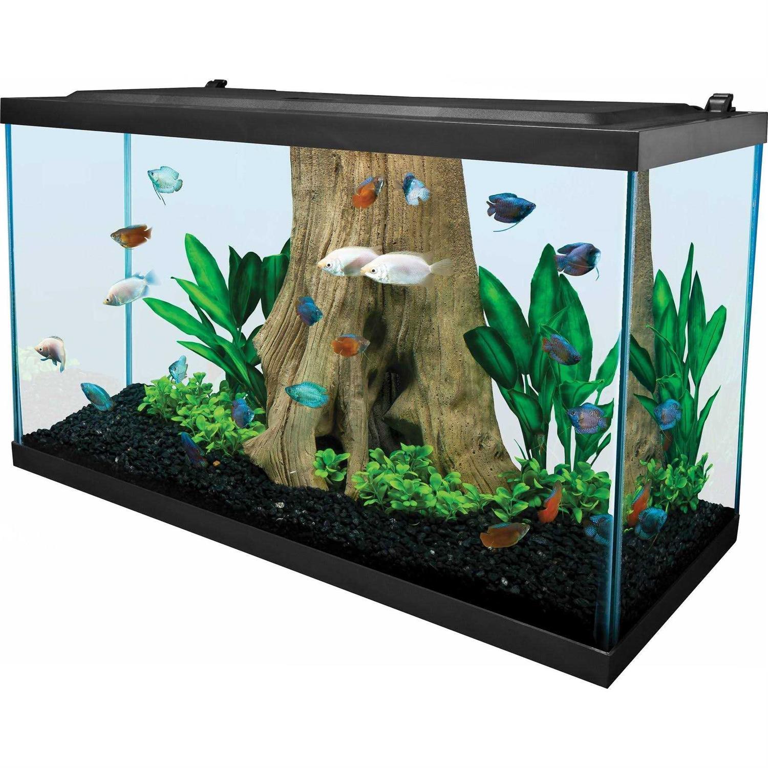 29 Gallon Glass Aquarium R6474