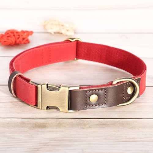 Brown Leather Dog Collar with Quick Release Metal Buckle B79862