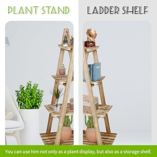 4-Tier Wood Ladder Shelf D7271