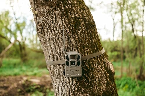 Cellular Trail Camera with 32GB SD Card W746269
