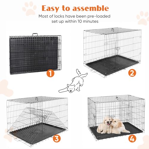 Large 36 Inch Double Door Folding Metal Wire Dog Crate with Divider Panel and Plastic Leak-Proof Pan Tray P323