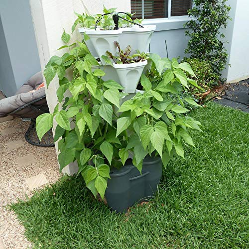 Standard Kit Stone Self Watering Vertical Tower Gardening System C97037