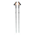 Aluminum Trekking Poles F32782