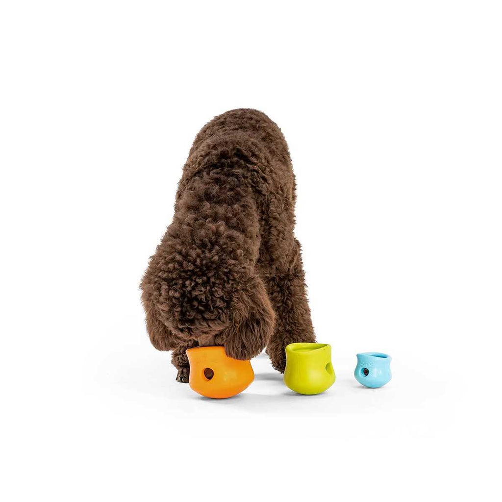 Toppl Dog Toy D667