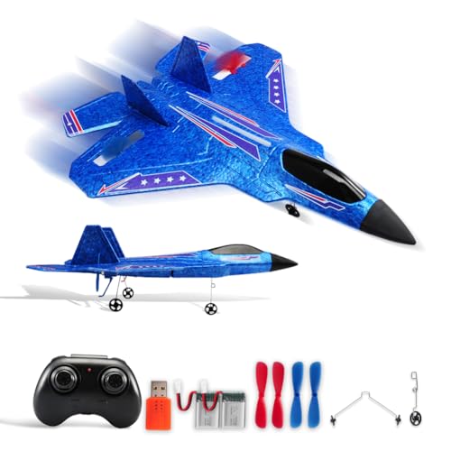 2.4Ghz 2 Channel Remote Control F22 RC Airplane Y39937