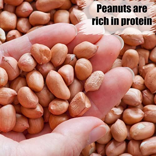 Wildlife Shelled Peanuts, 10 lbs U958