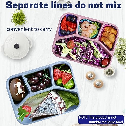 8 Pack Wheat Straw Bento Lunch Containers P419152