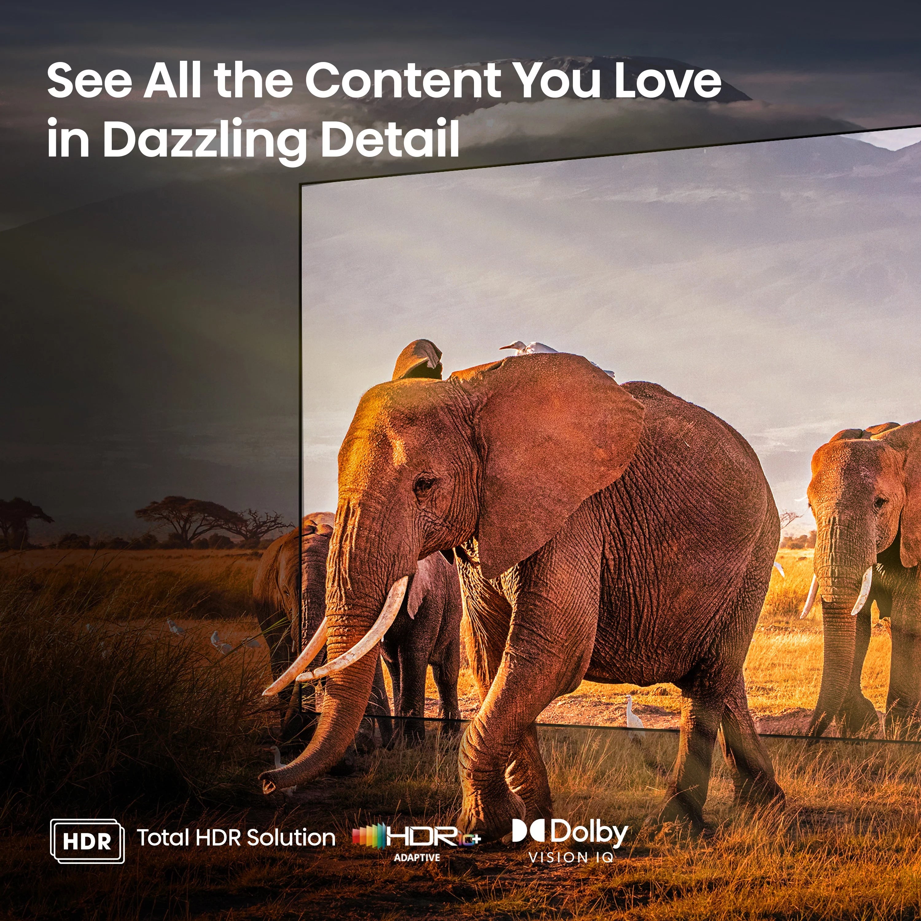 65-Inch Mini-LED QLED Google Smart TV W15444