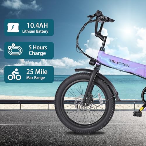 20"×3.0 Fat Tire Folding Electric Bike with 374.4Wh Battery F81545