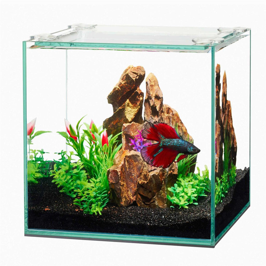 Rimless Rectangle Aquarium E630