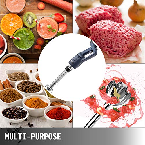 350W 304 Stainless Steel Immersion Blender C333