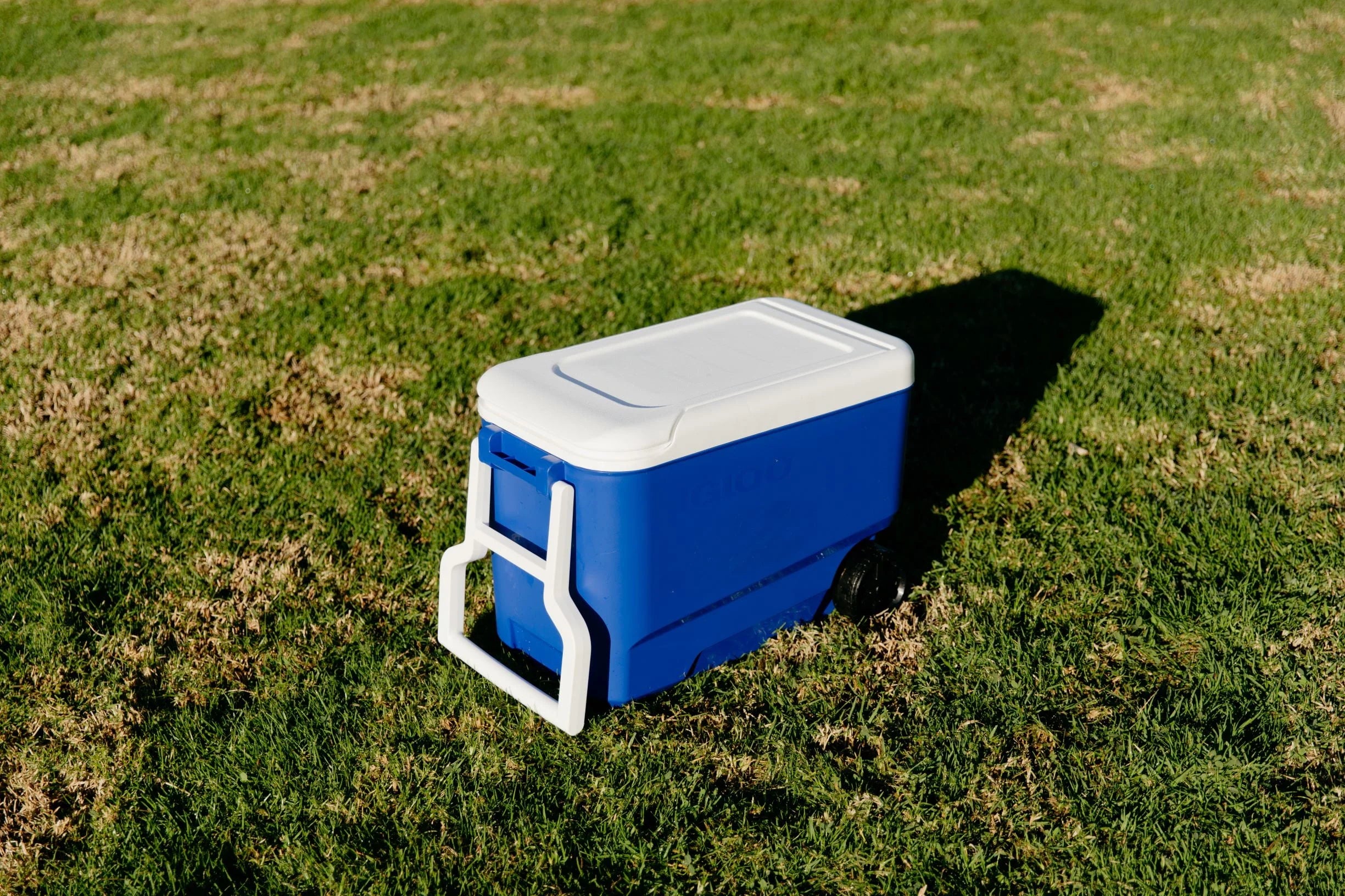 Blue 38 QT Hard-Sided Ice Chest Cooler with Wheels Z1489