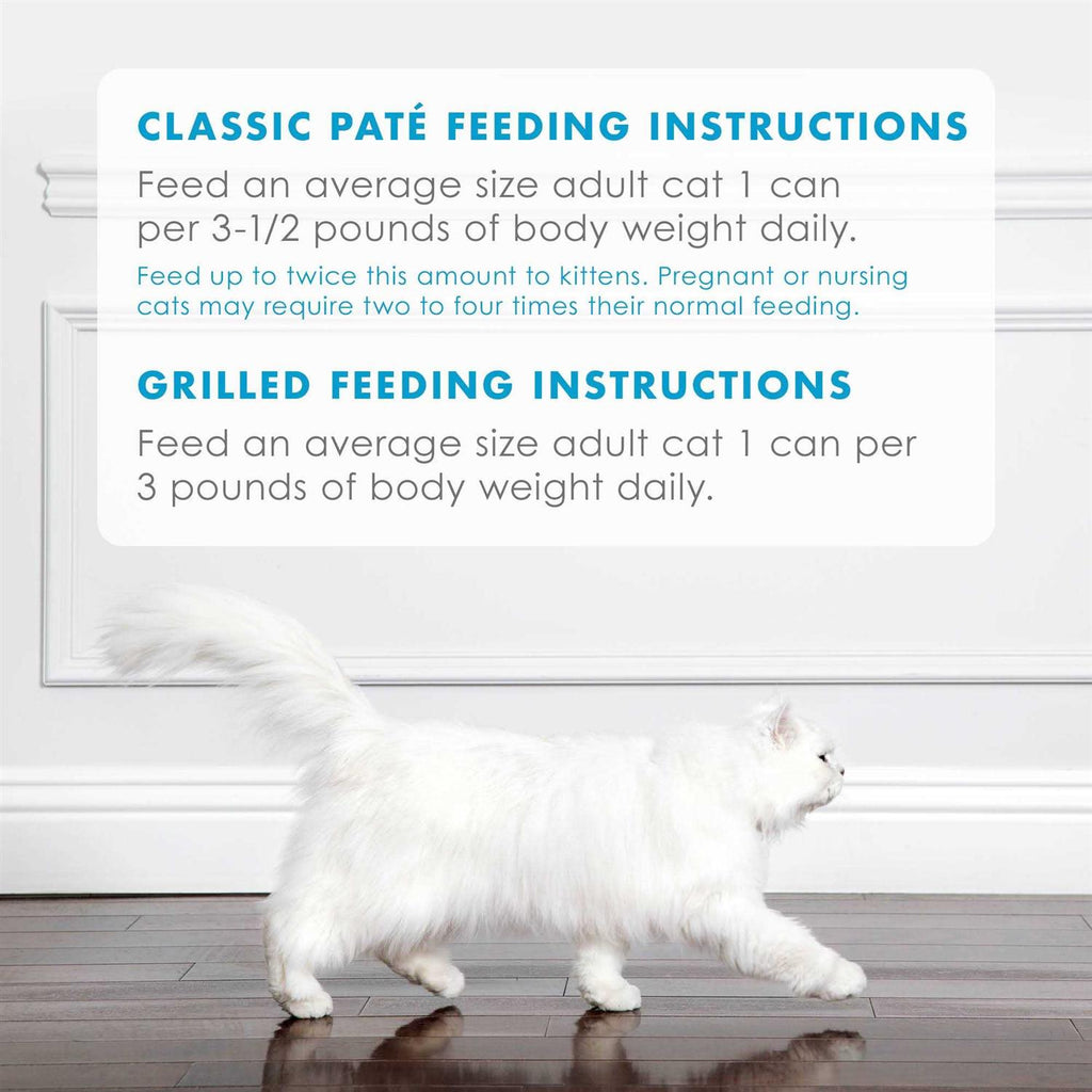 Wet Cat Food B676492