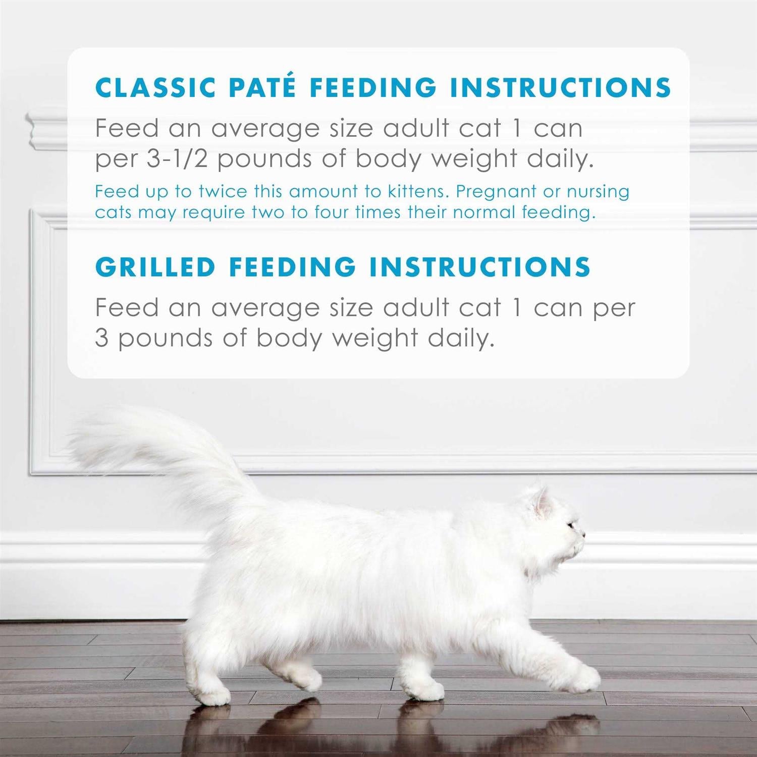 Wet Cat Food B676492