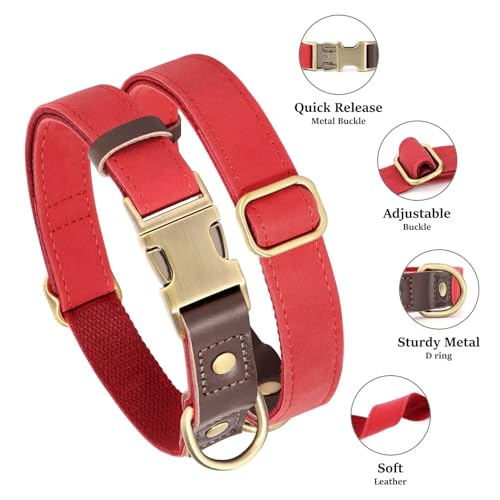 Brown Leather Dog Collar with Quick Release Metal Buckle B79862