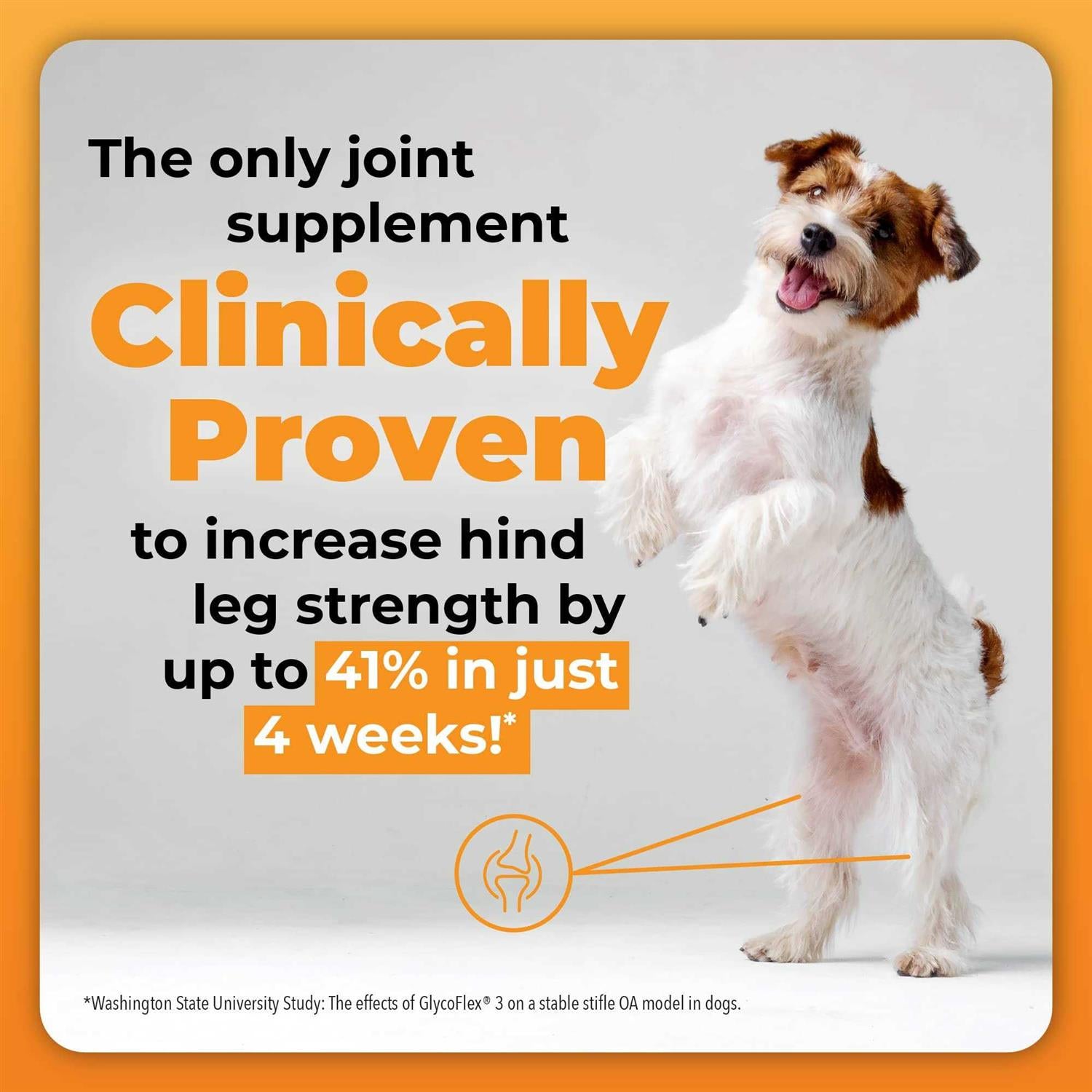 GlycoFlex 3 for Dogs N6048