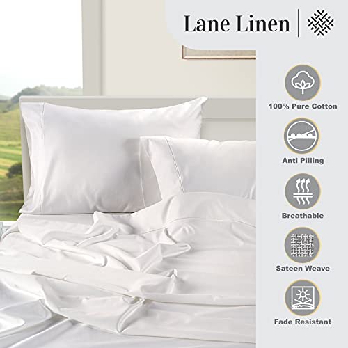 100% Egyptian Cotton Queen Sheets Set Q7198