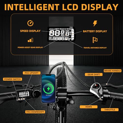 20" Fat Tire 1000W Electric Bike with 48V 20AH Removable Battery M437