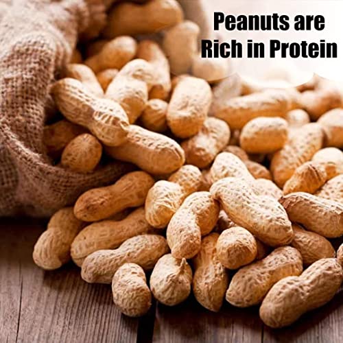 Wildlife Shelled Peanuts, 10 lbs U958
