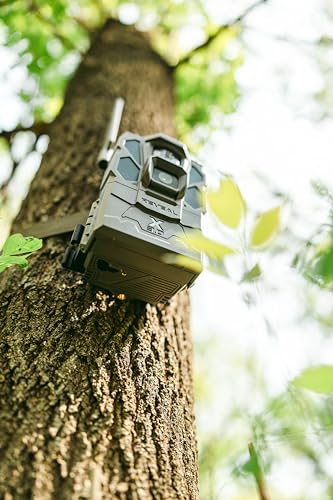Cellular Trail Camera with 32GB SD Card W746269