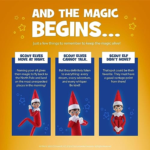 Blue-Eyed Girl Scout Elf Q65230