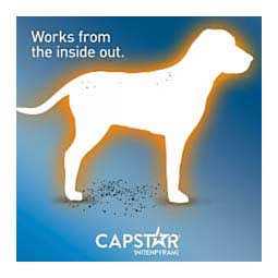 Capstar Flea Tablets for Dogs H880566