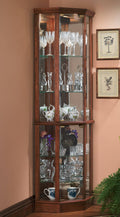 Lighted Glass Corner Curio Cabinet W433564