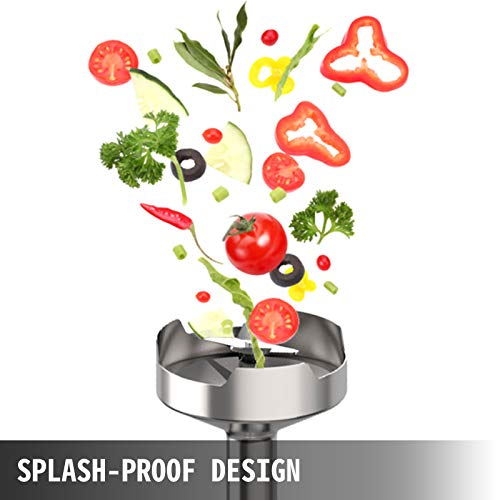 350W 304 Stainless Steel Immersion Blender C333